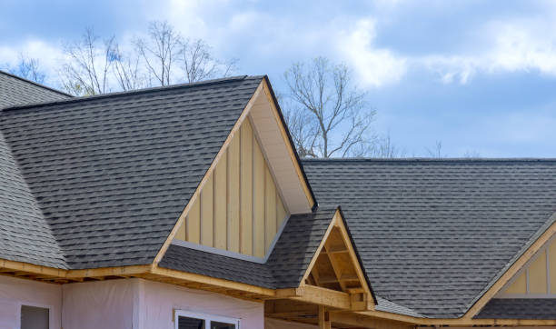 Best Roof Insulation Installation  in Union City, TN